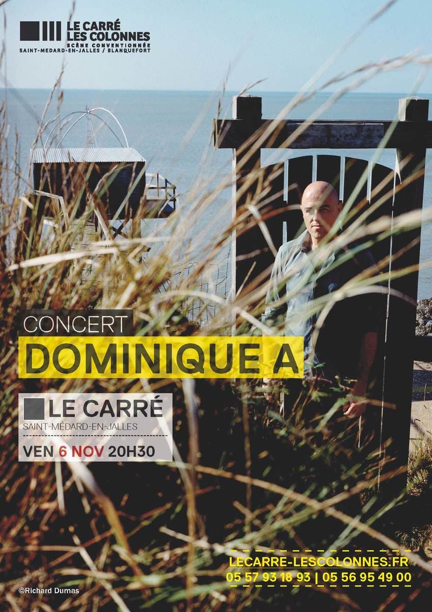 Dominique A