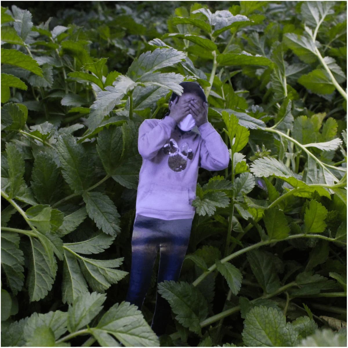 Exposition Cache-Cache