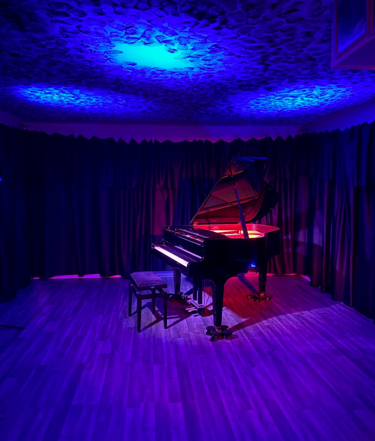 Festival de piano