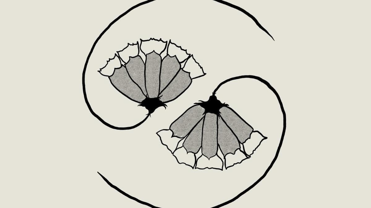 Godspeed You! Black Emperor