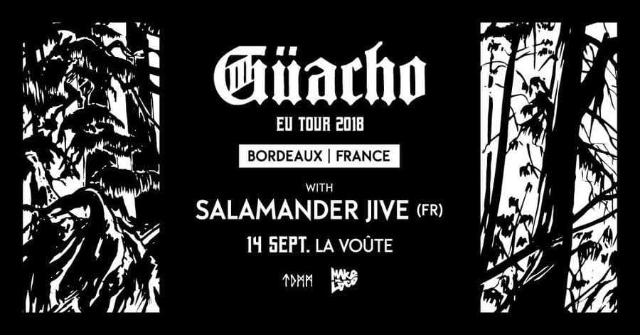 Güacho + Salamander Jive