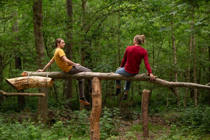 Human Time Tree Time
