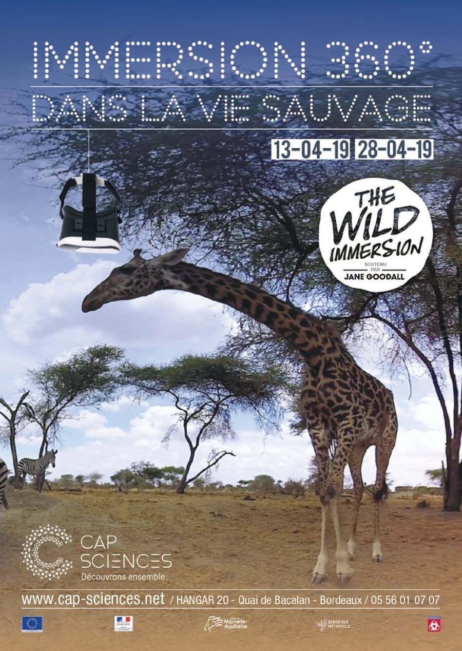 Immersion 360° dans la vie sauvage
