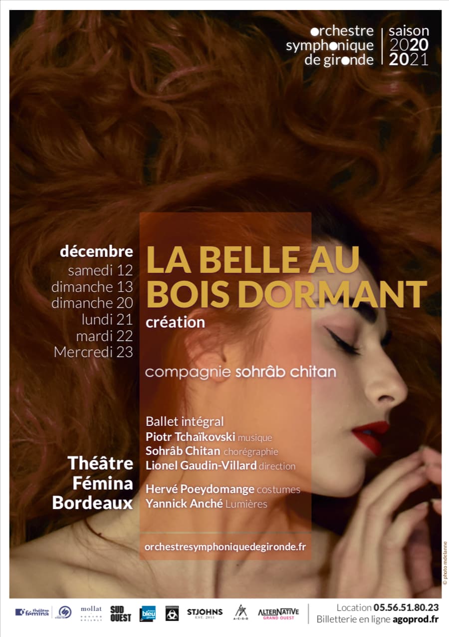LA BELLE AU BOIS DORMANT