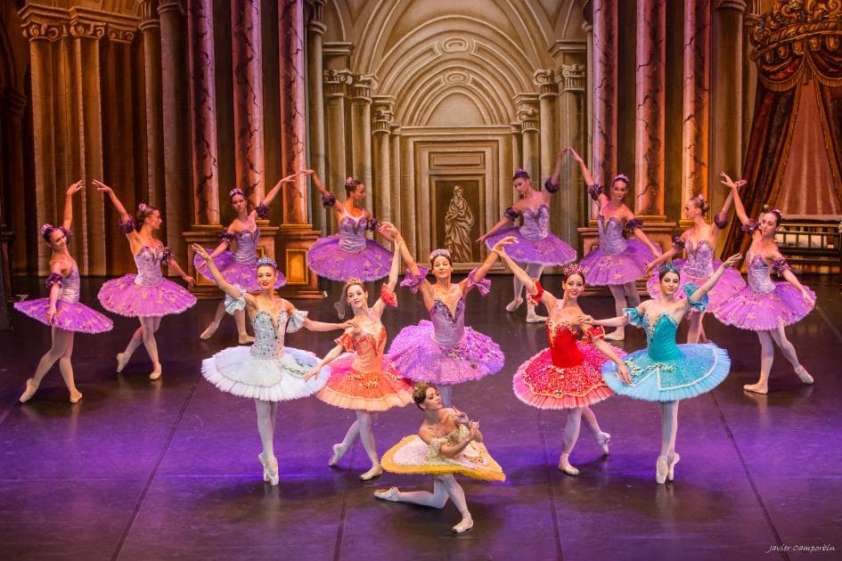 LA BELLE AU BOIS DORMANT