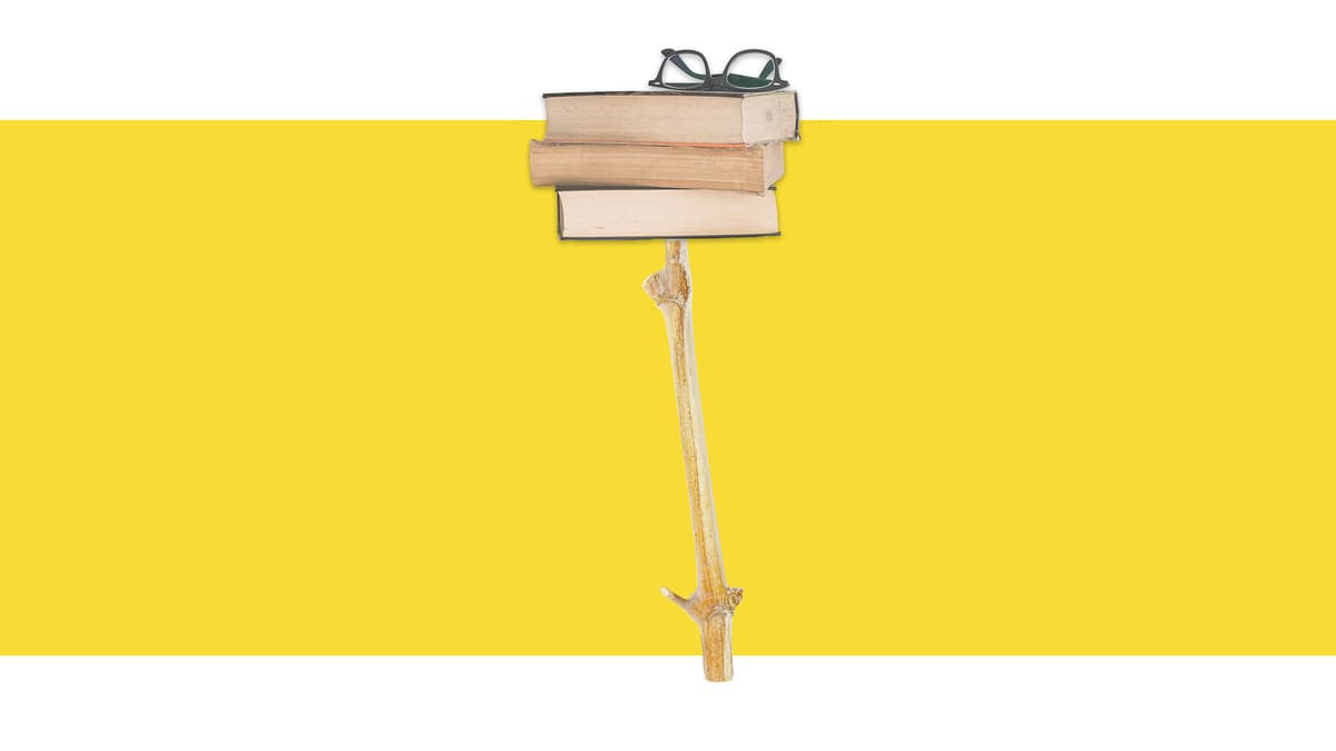 Le vin dans l'oeuvre de Michel Houellebecq