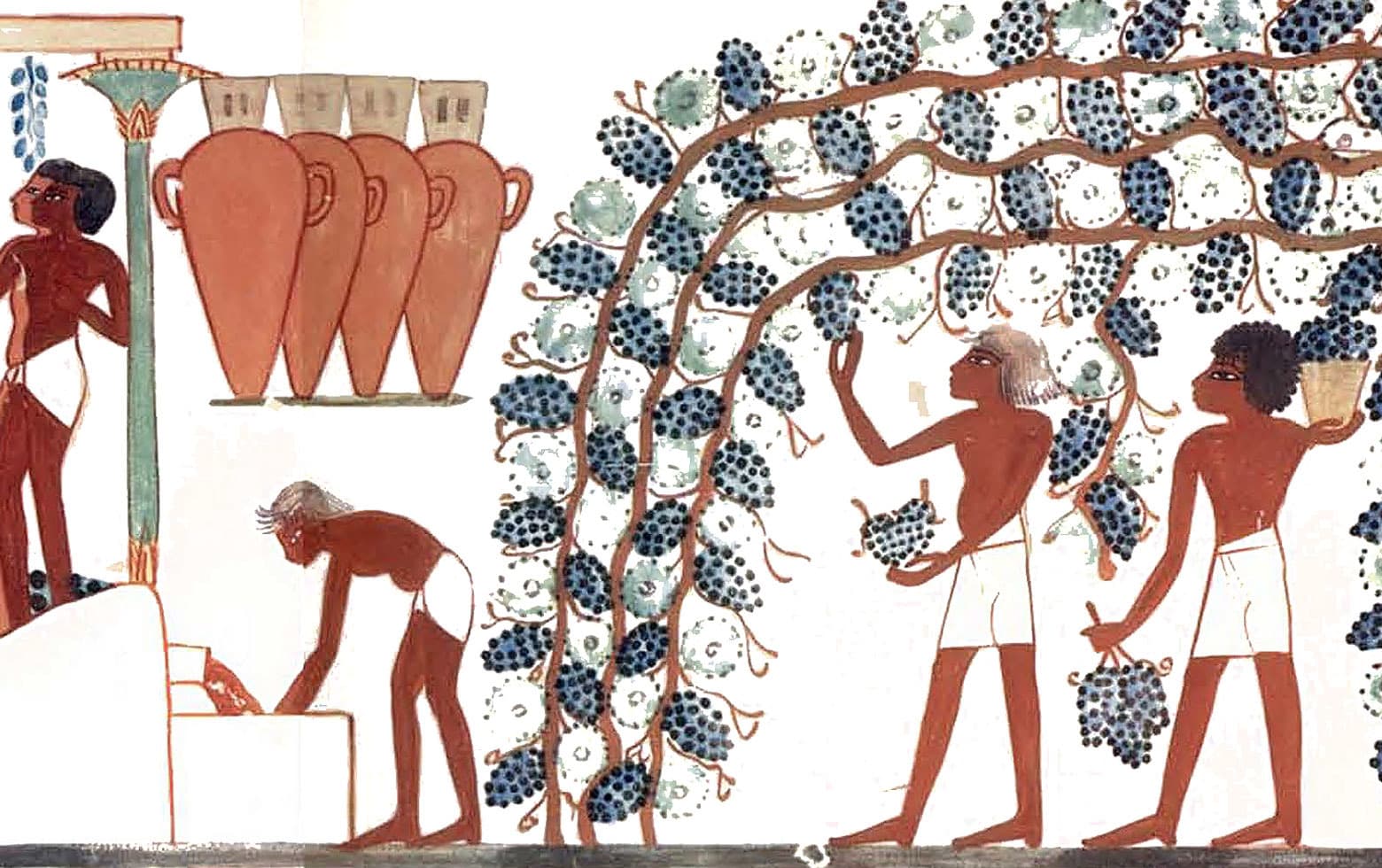 Le vin des Pharaons