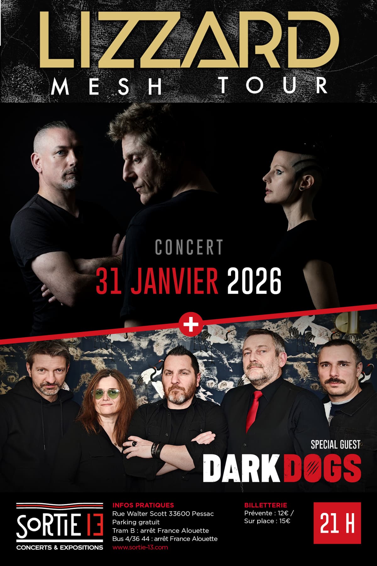 LIZZARD + DARK DOGS