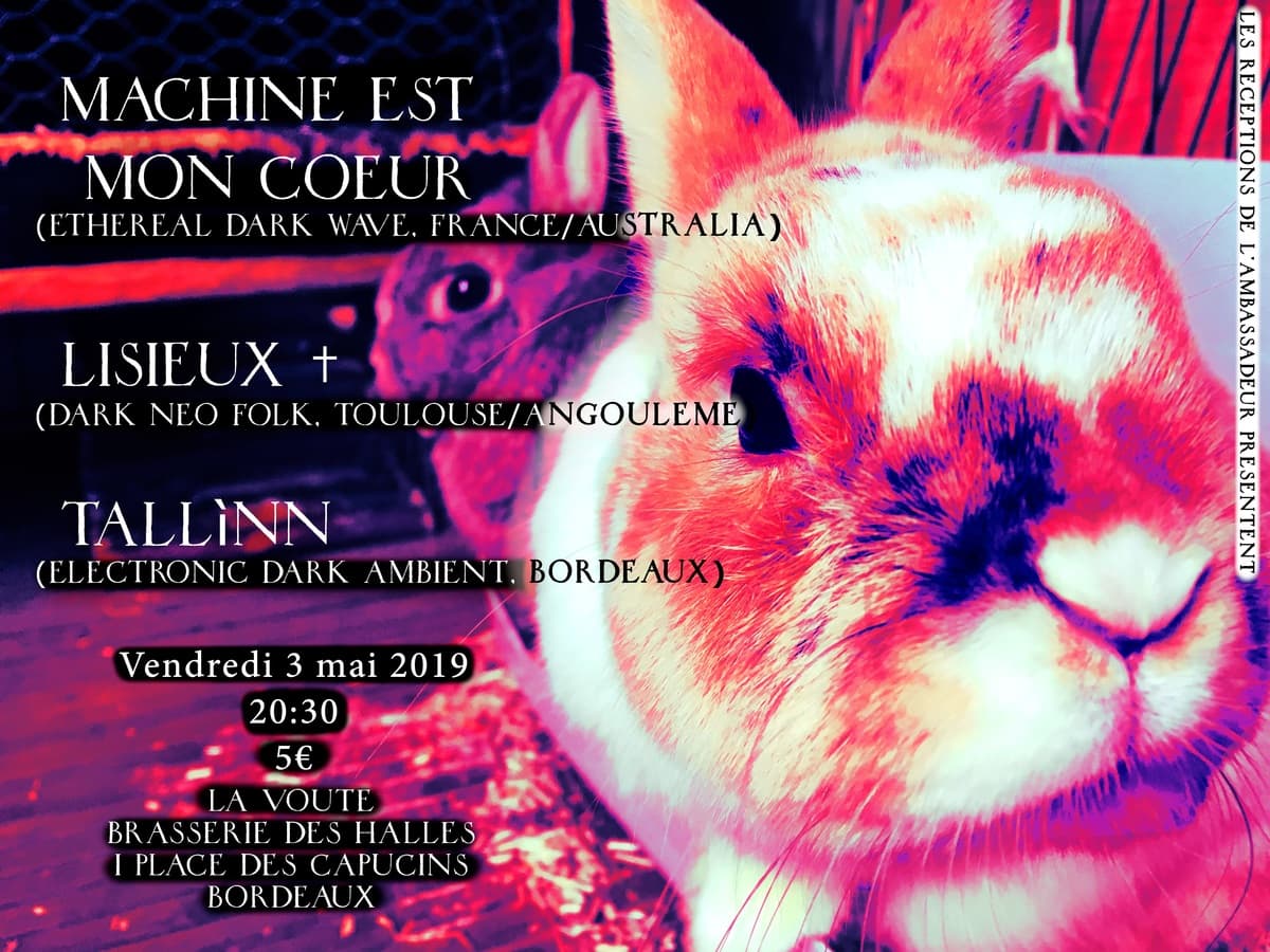 Machine est mon Cœur + Lisieux † + Tallìnn