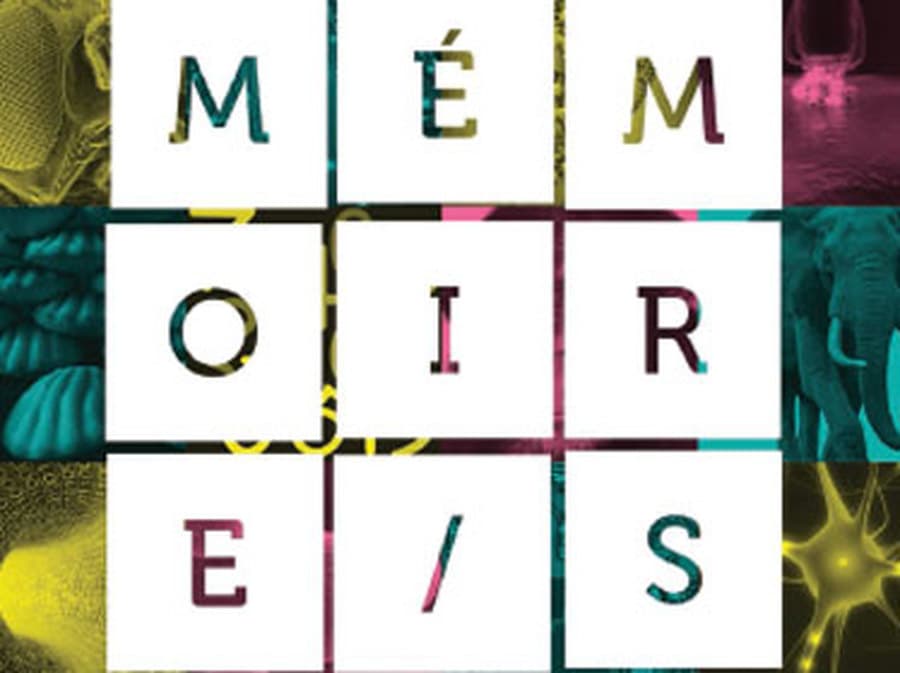 MÉMOIRE/S