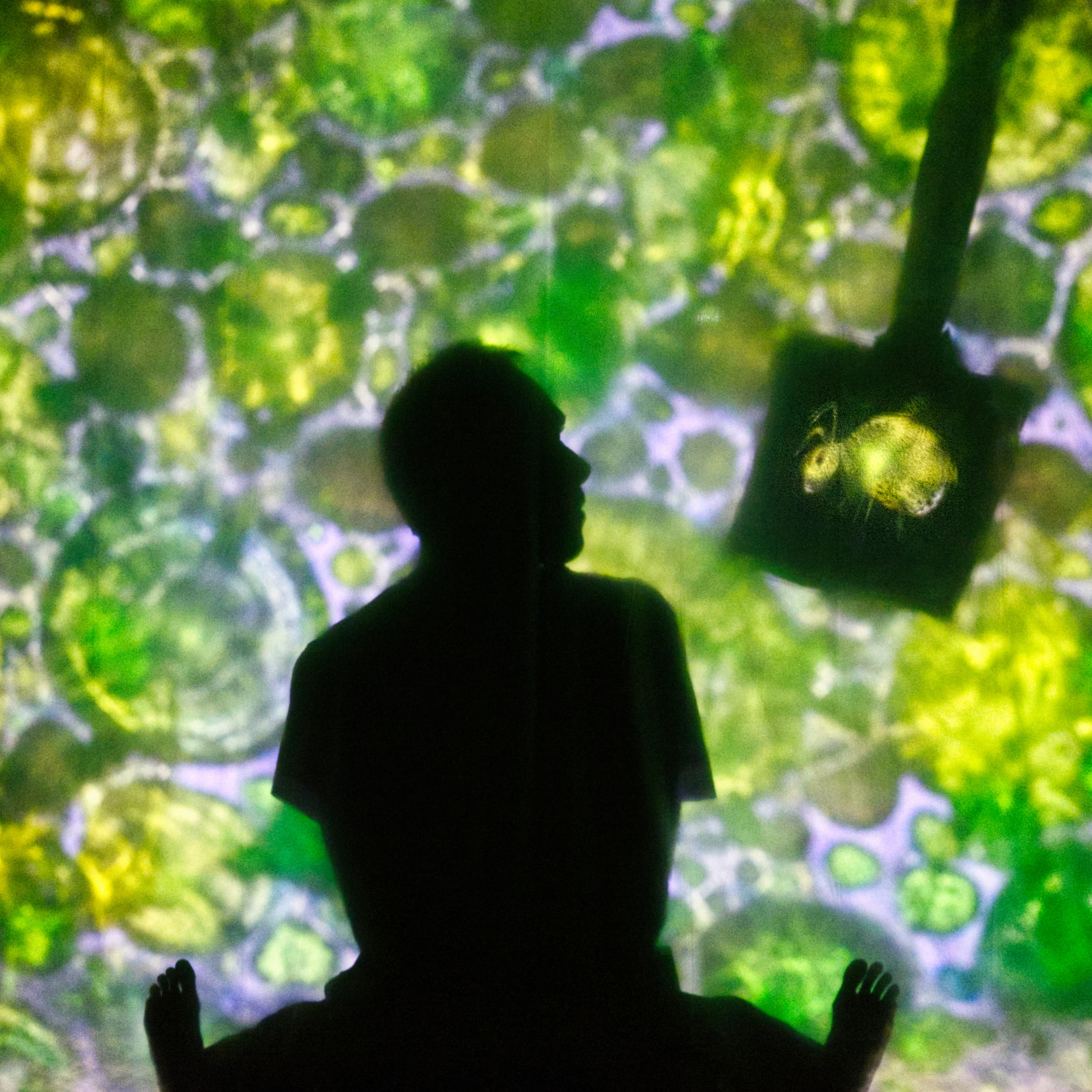 Minimus - Cie Le bruit des ombres