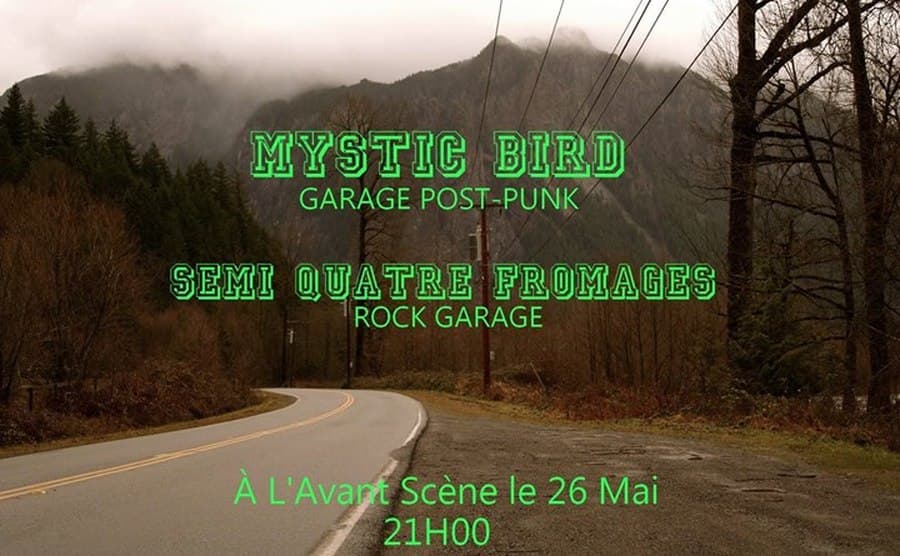 Mystic bird + Semi Quatre Fromages