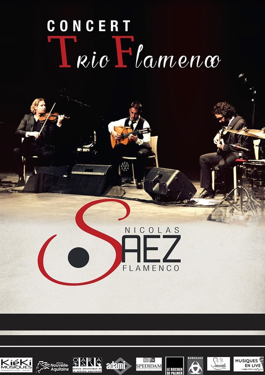 Nicolas Saez Trio Flamenco