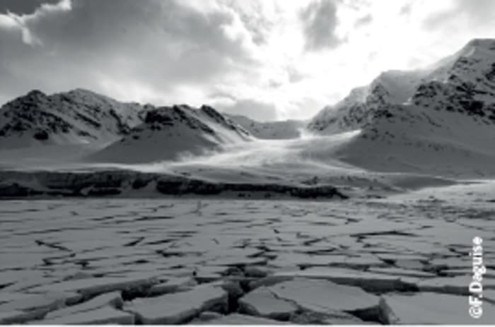 Nostalgie des Glaces / François Daguise