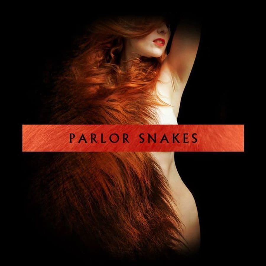 PARLOR SNAKES + DRY COUNTY LONER