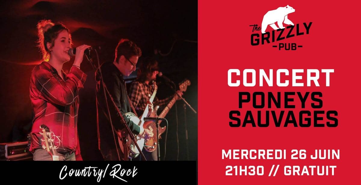 Poneys sauvages
