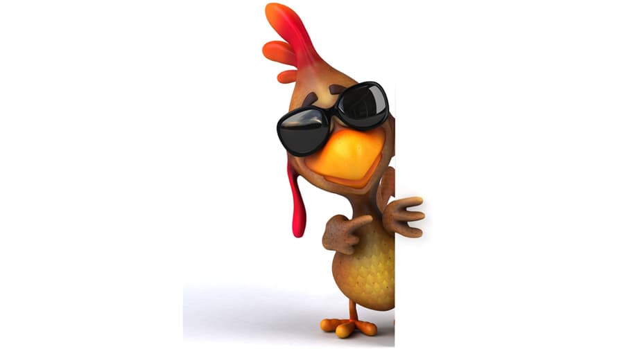 POUIC POUIC