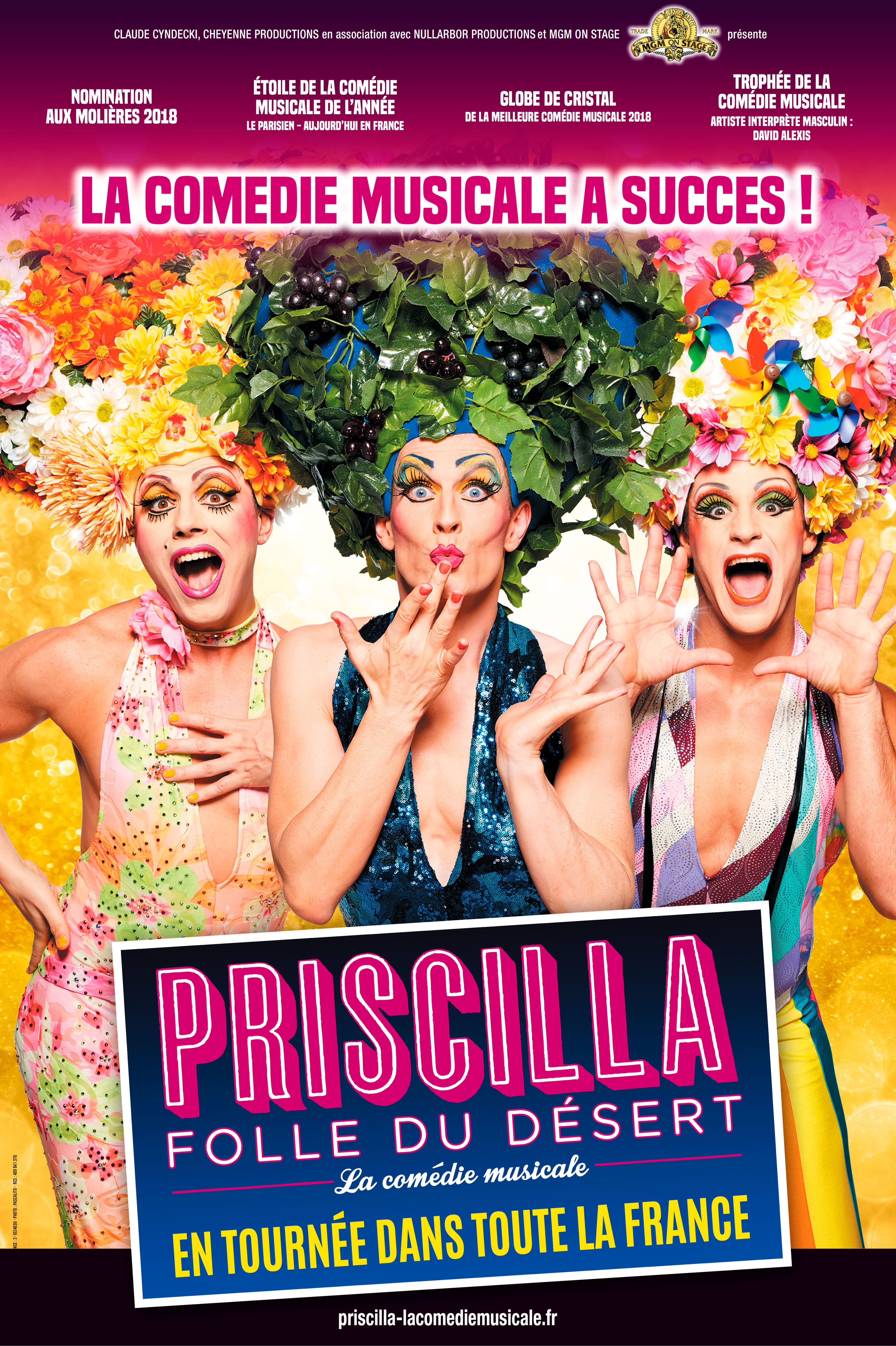 PRISCILLA FOLLE DU DESERT - LE MUSICAL