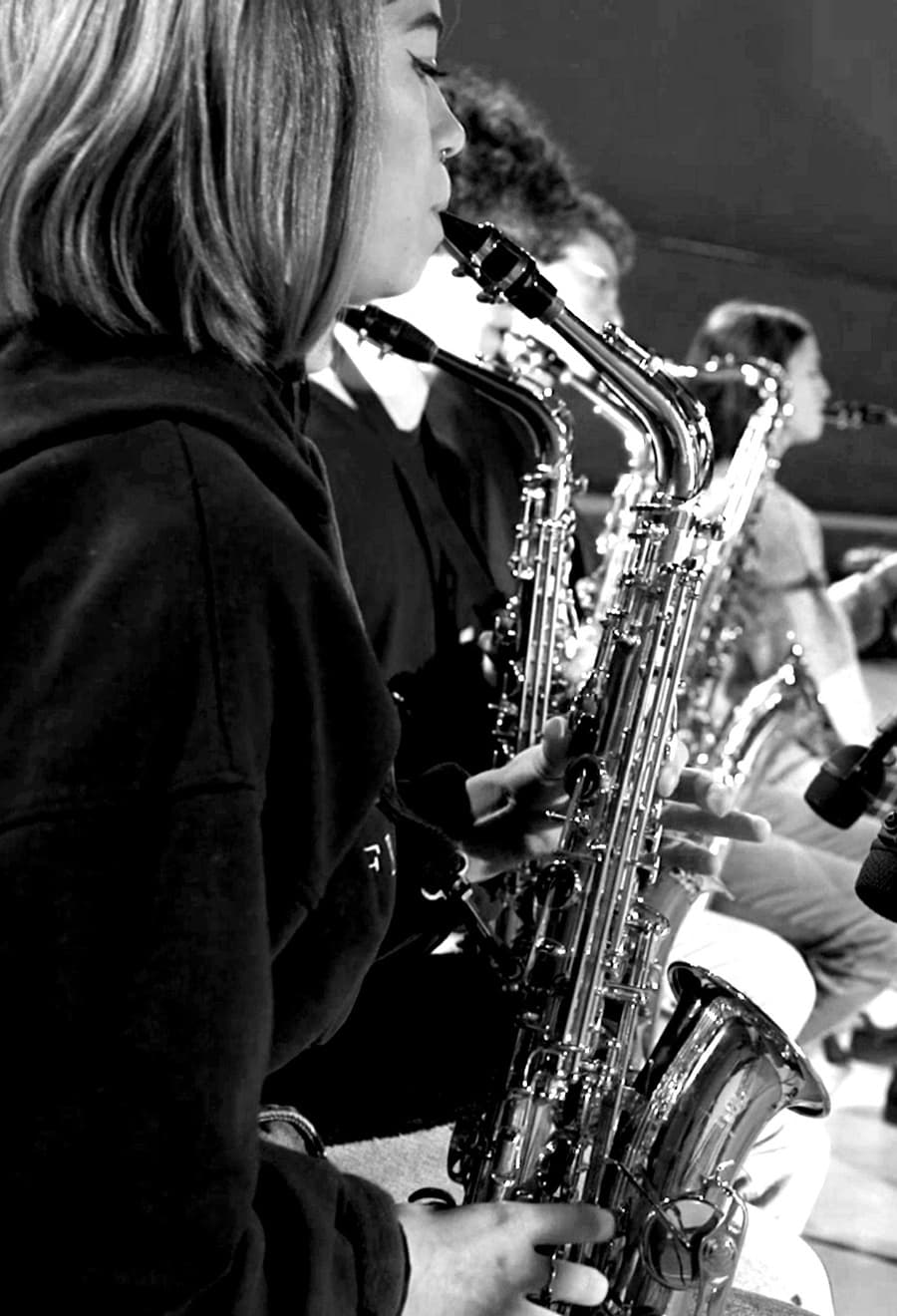 Projet « Ambarès-Monségur »