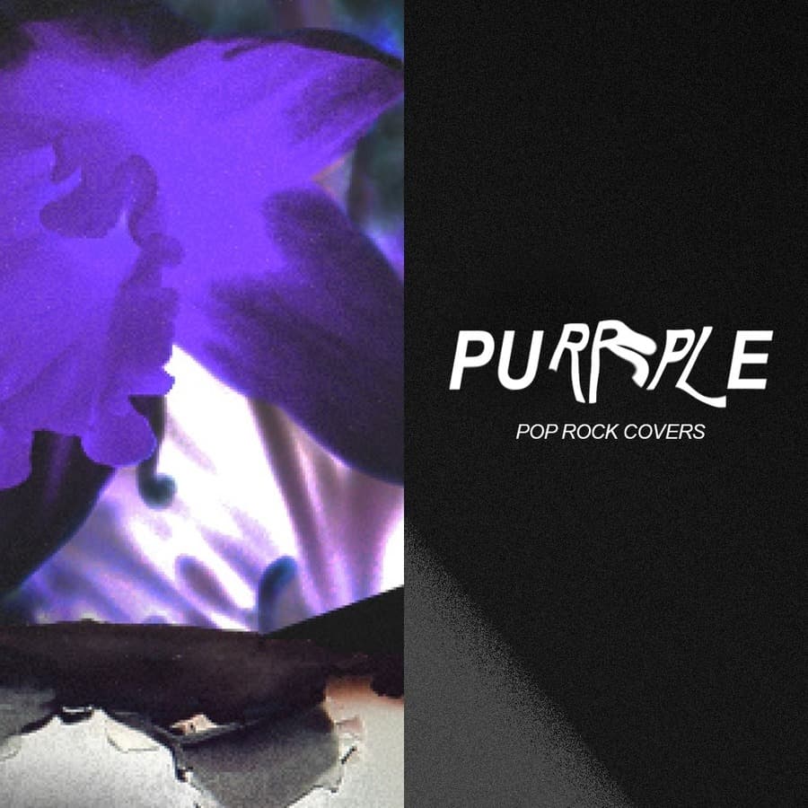 Purrple