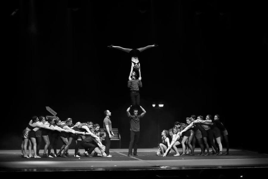Quelques lignes de cirque