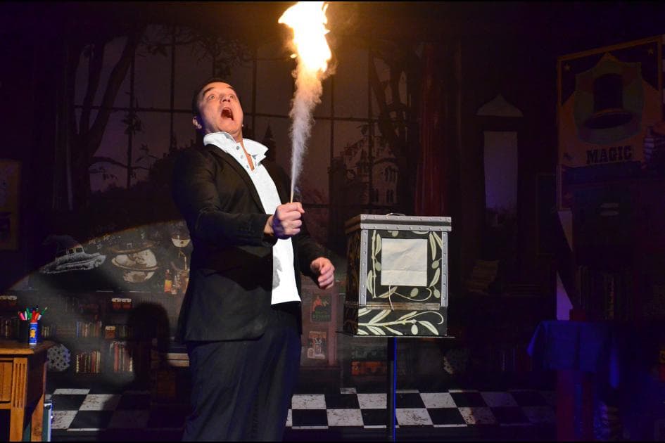 Qui veut la peau du magicien ?