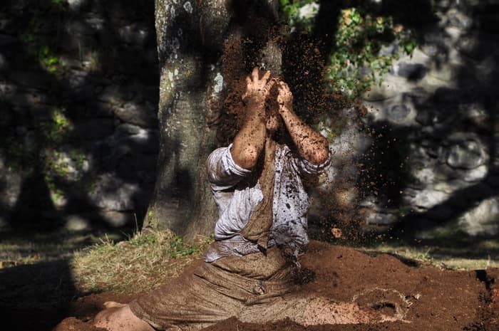 Racine(s) - L’attraction Compagnie