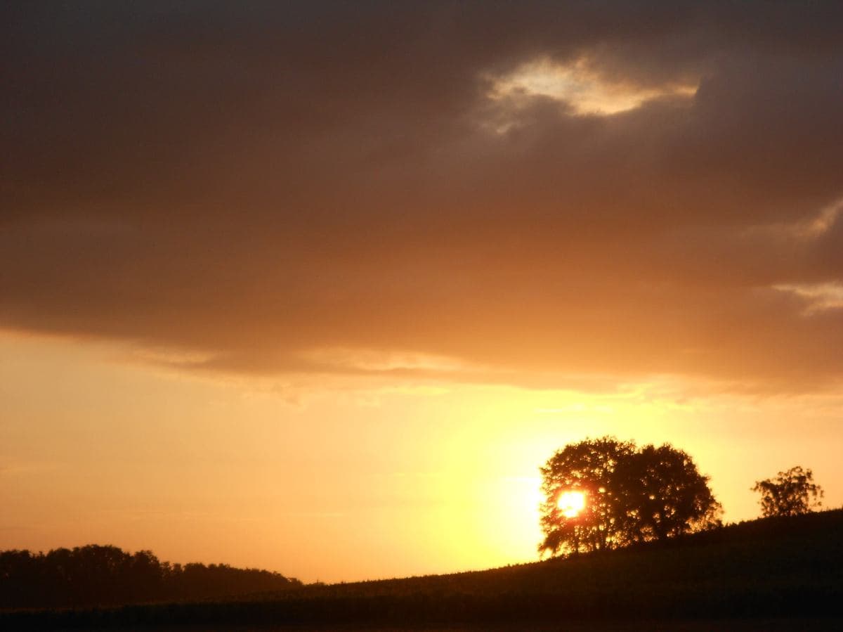 Scène ouverte poésie