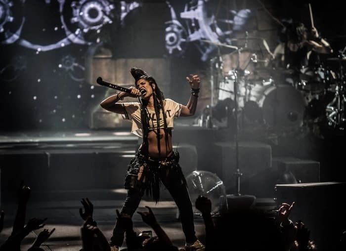 Shaka Ponk, la dernière tournée