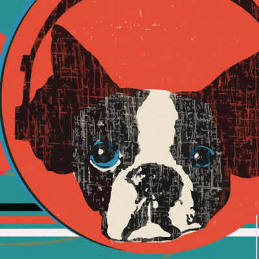 Snarky Puppy