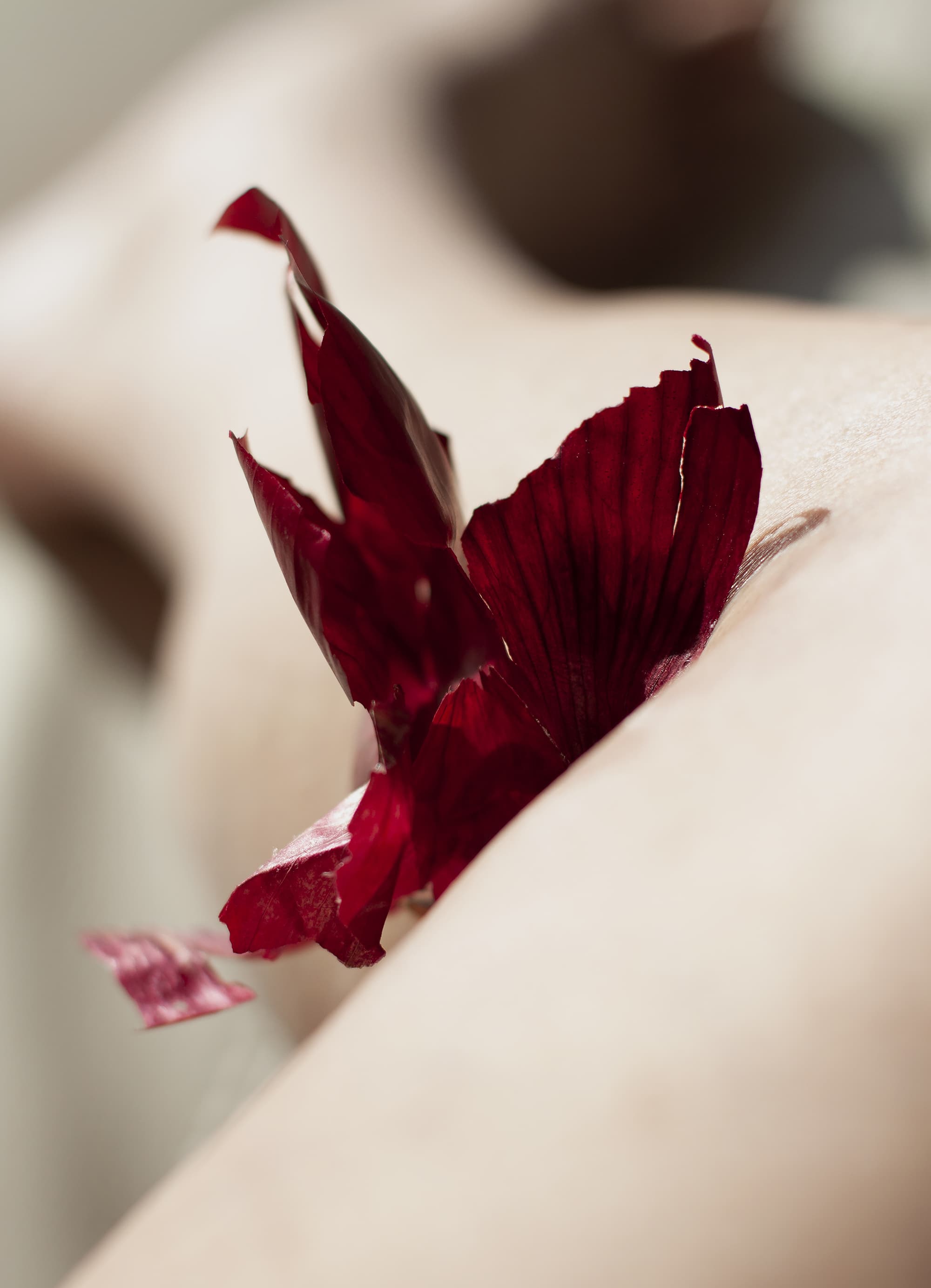 Solène Reymond - Transformations