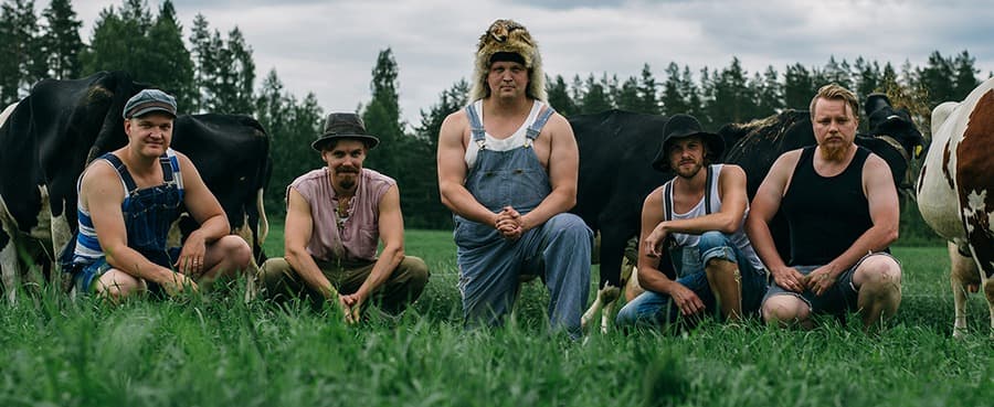 STEVE’N’SEAGULLS