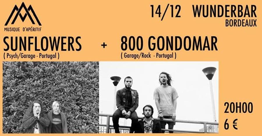 Sunflowers + 800 Gondomar