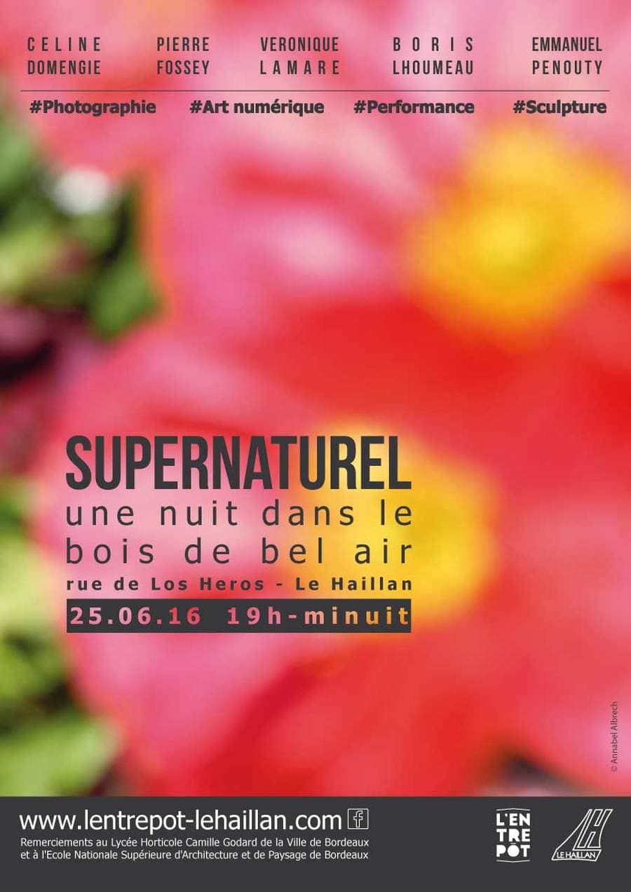 SUPERNATUREL 2016