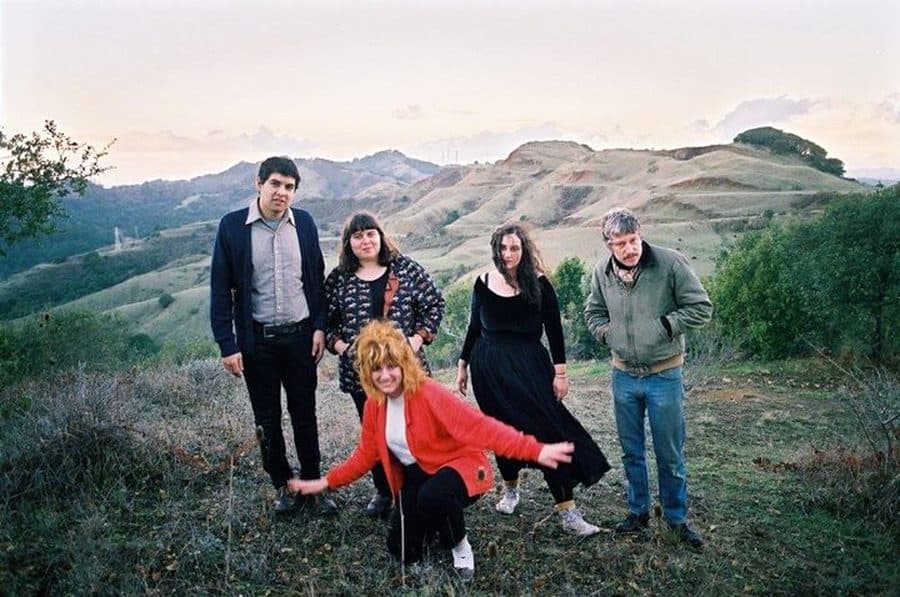 The World + Homebirds