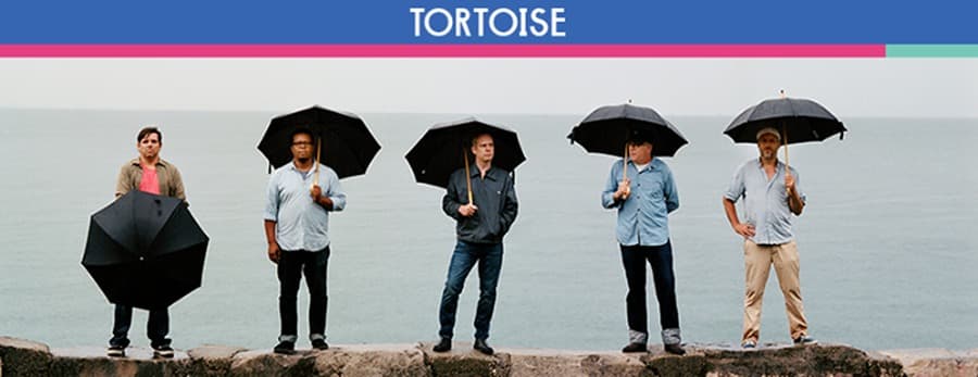 Tortoise