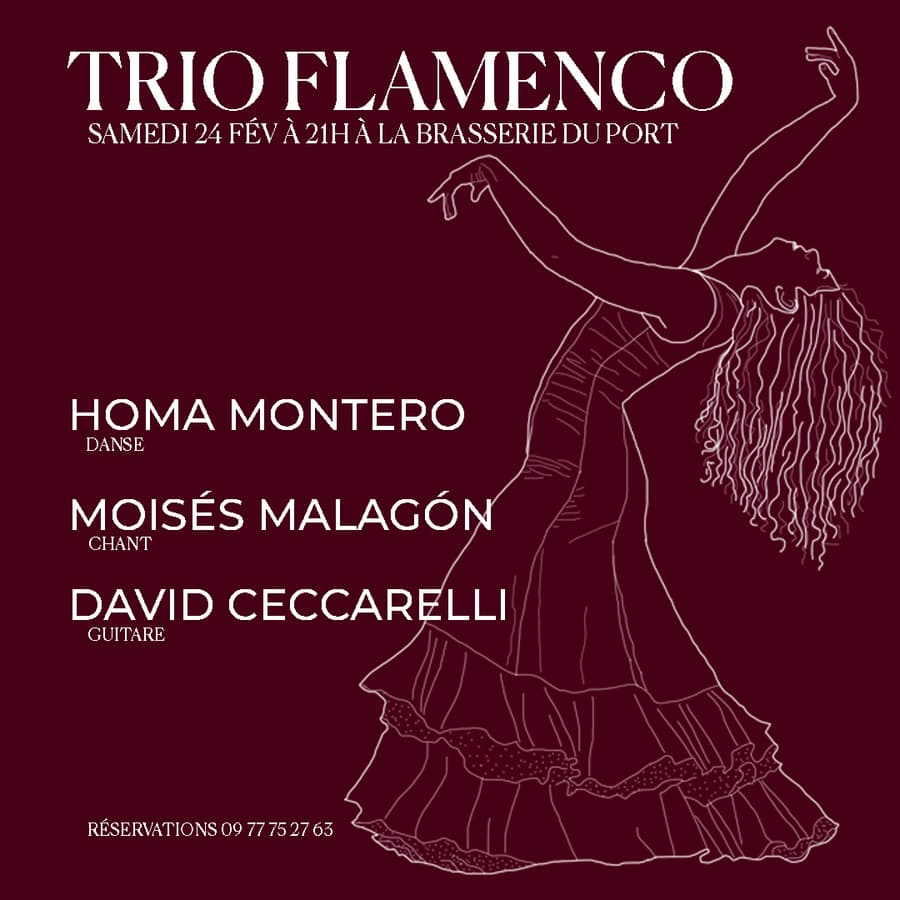 Trio flamenco