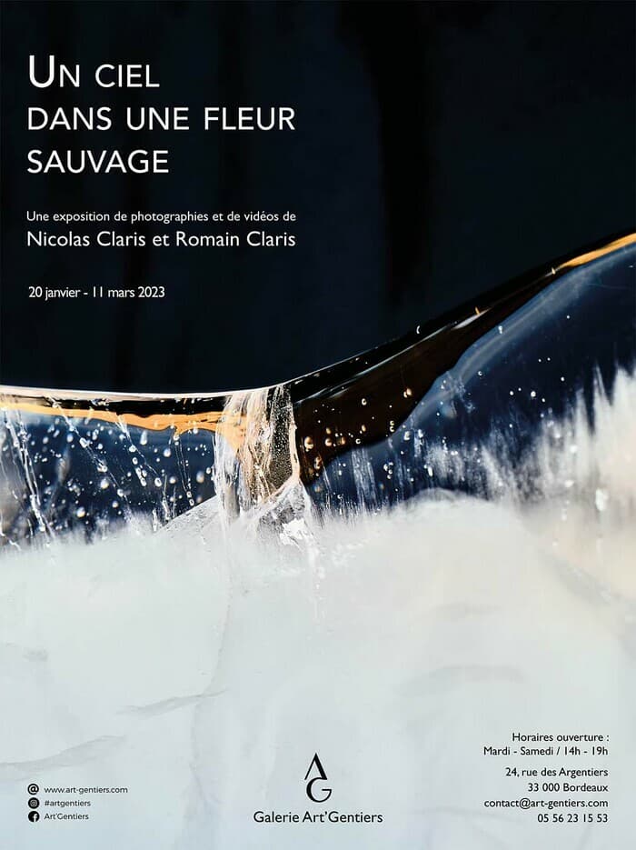 Un ciel dans une fleur sauvage