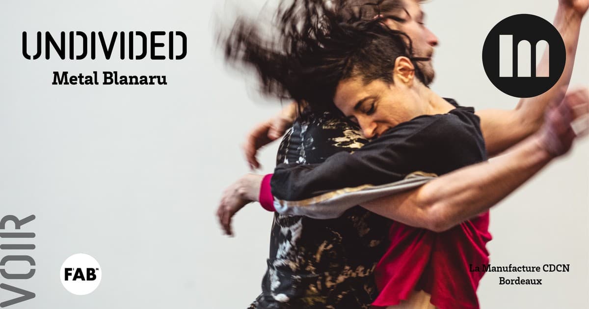 Undivided - Meytal Blanaru