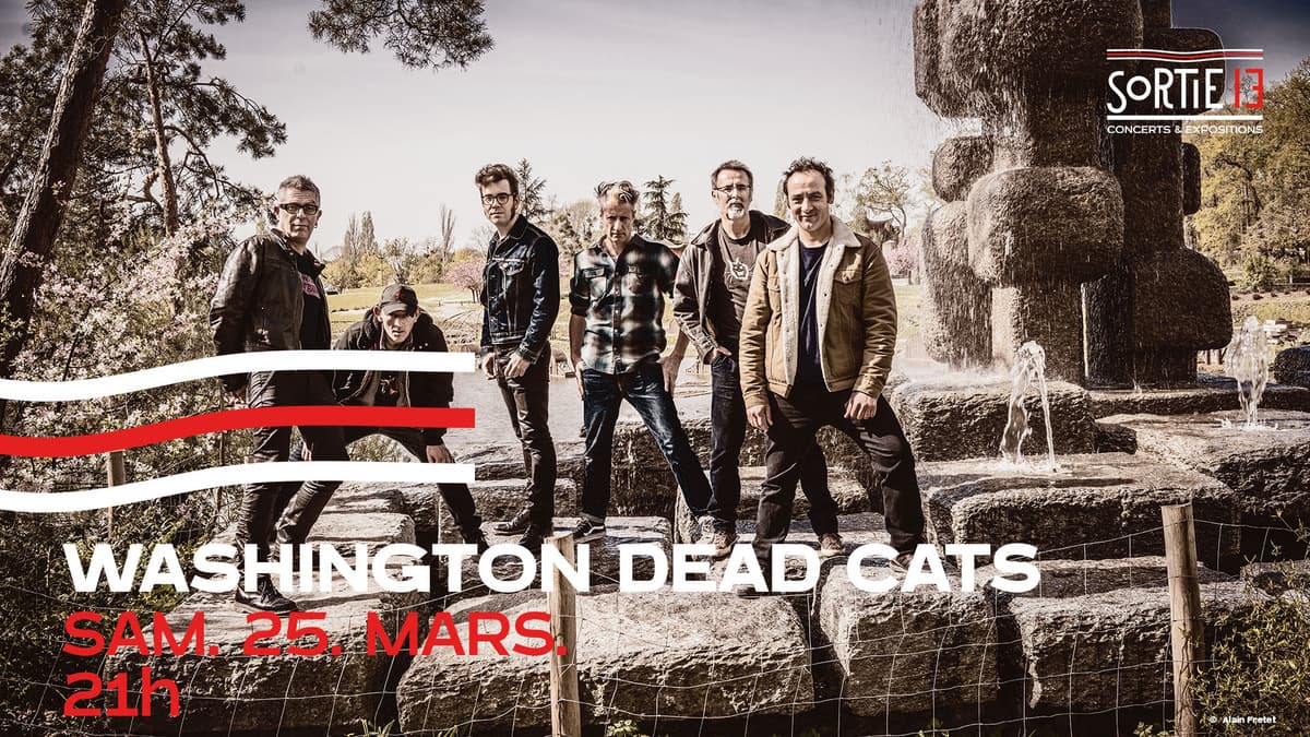 WASHINGTON DEAD CATS