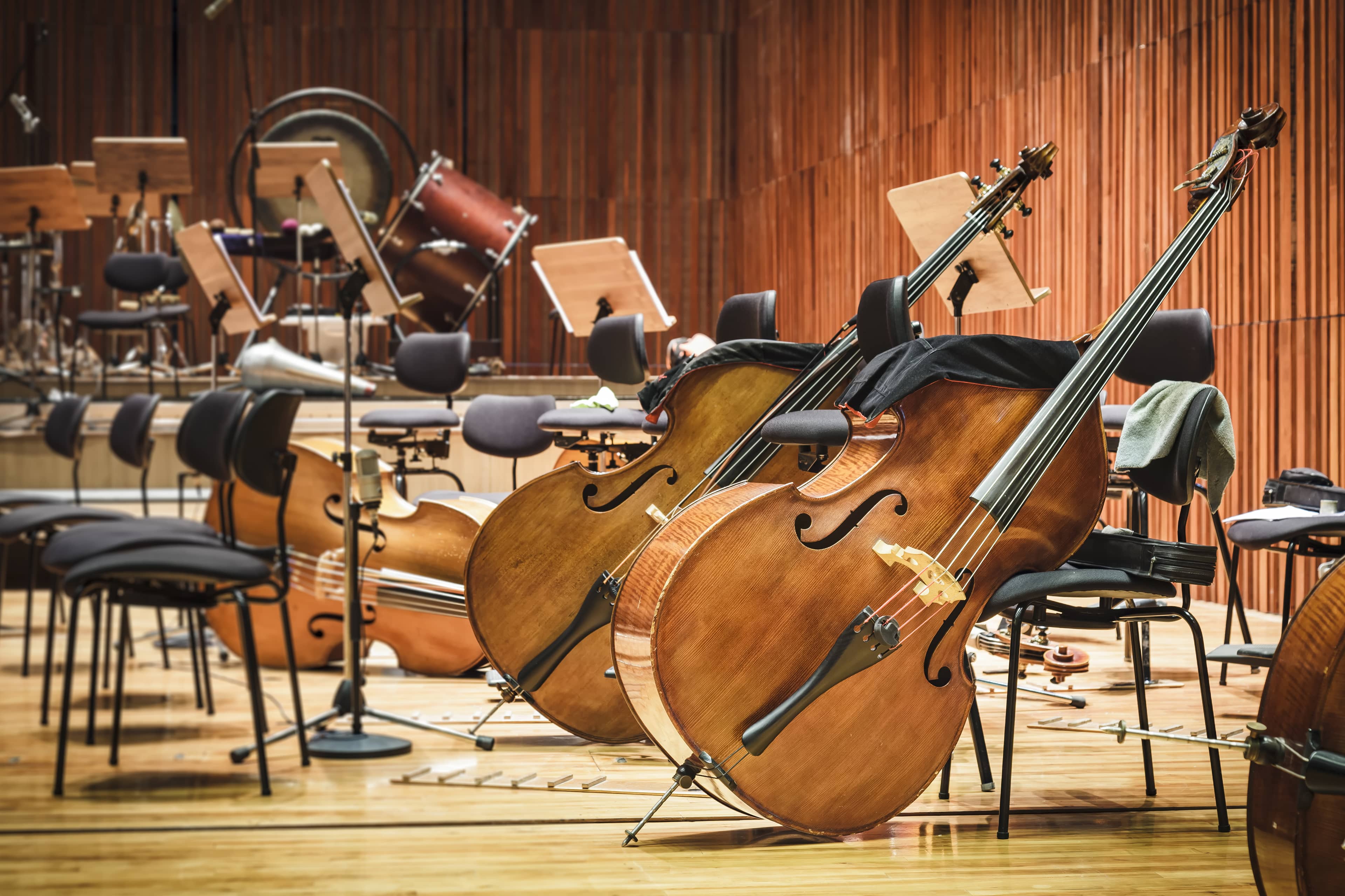 Concert classique de l'ensemble à cordes