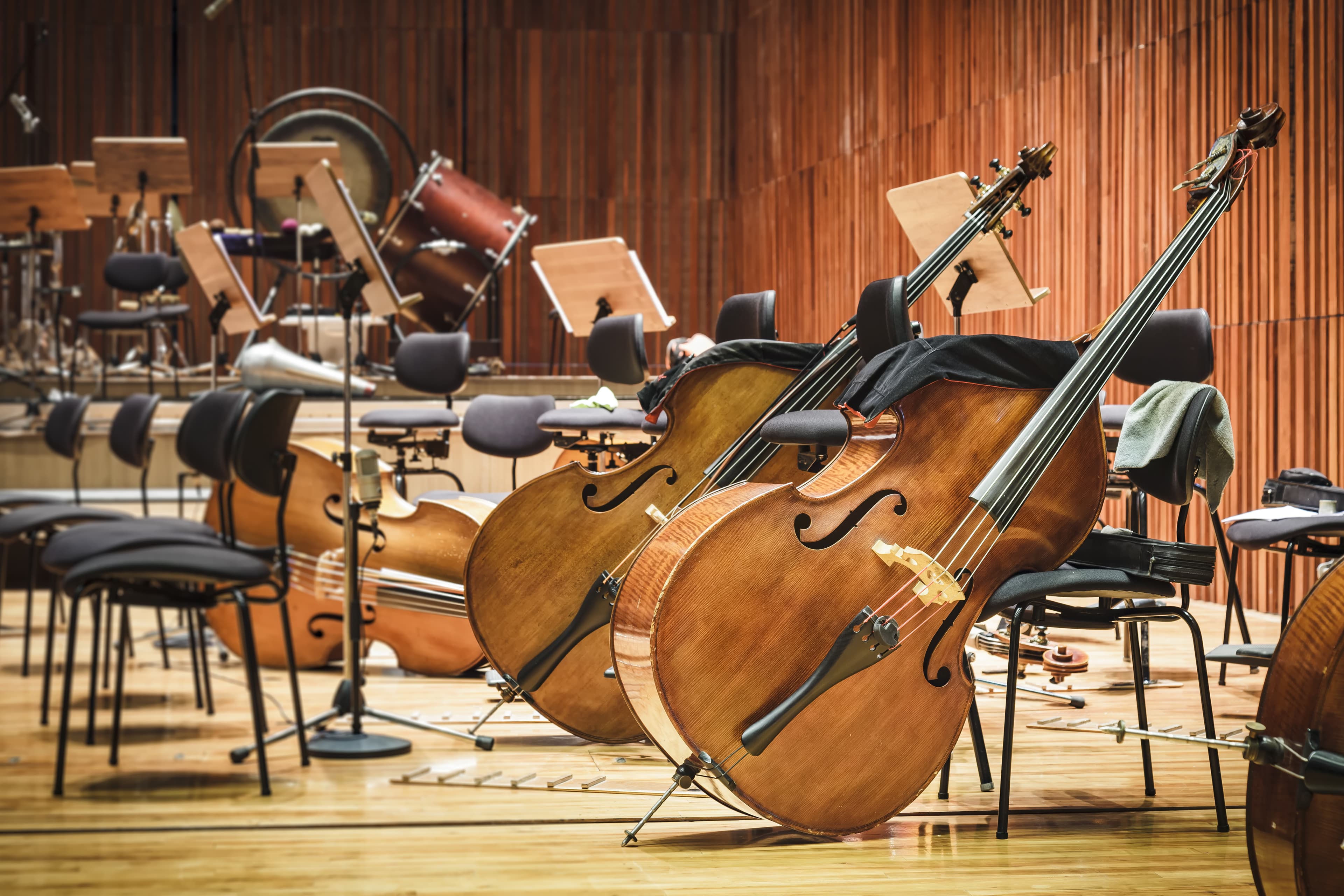 Concert classique de l'ensemble à cordes
