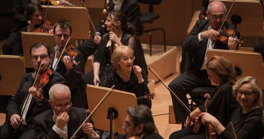 À la découverte de l'Orchestre