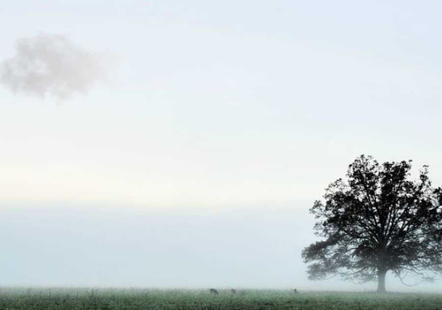 A TROP PRESSER LES NUAGES - CIE COMPAGNIE DU RÉFECTOIRE