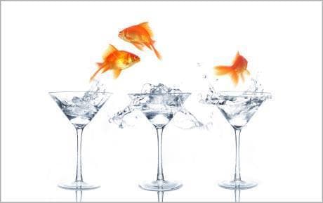 ANNIVERSAIRE DU POISSON ROUGE BAR