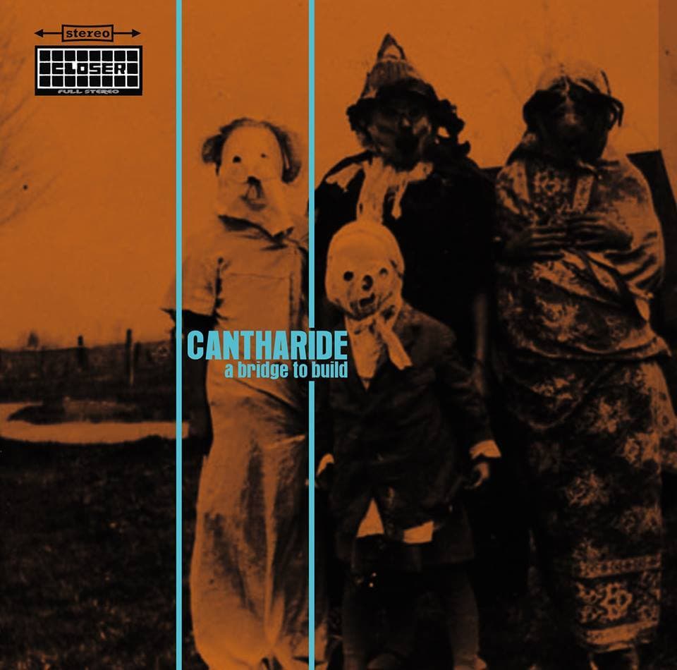 Cantharide