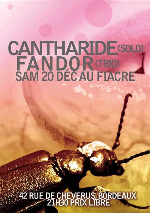 Cantharide