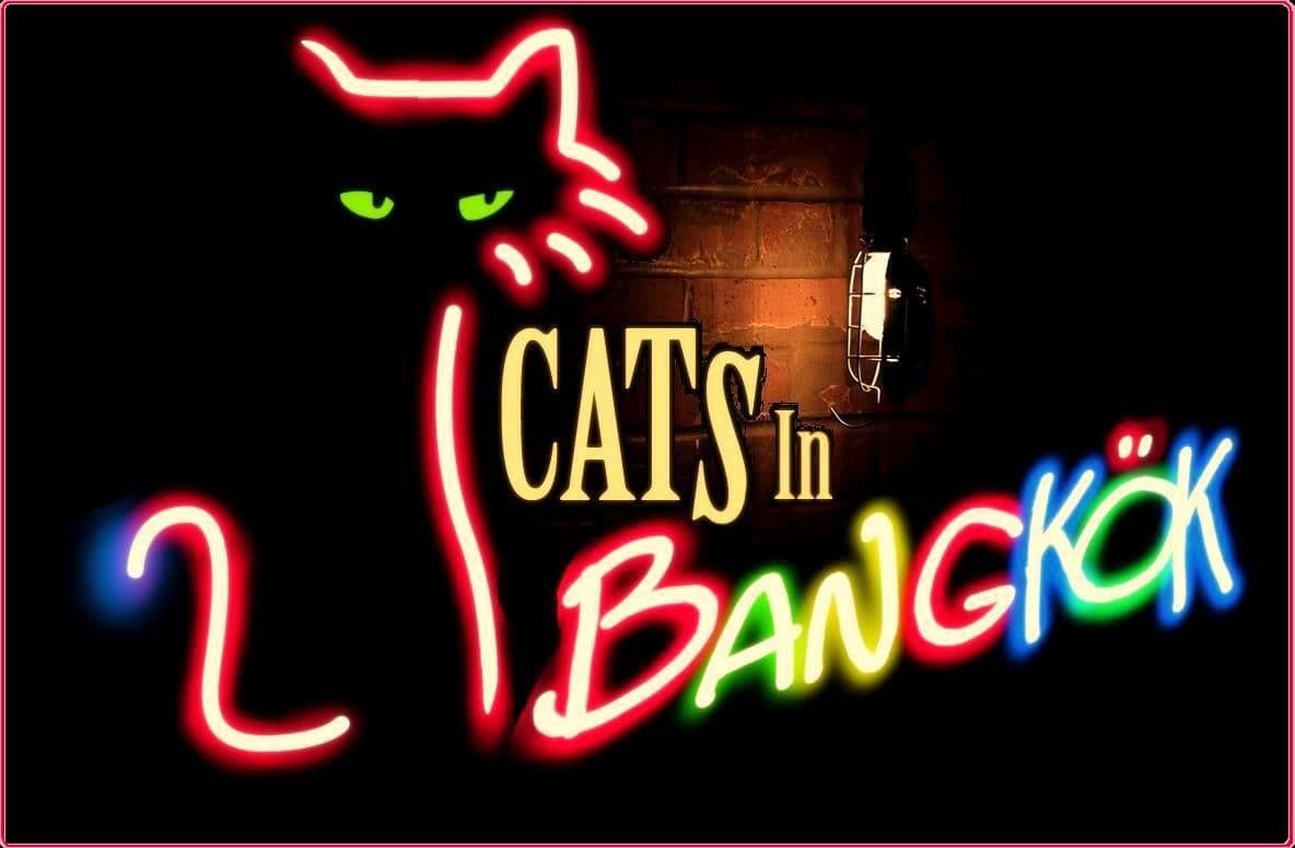 Cats In Bangkok