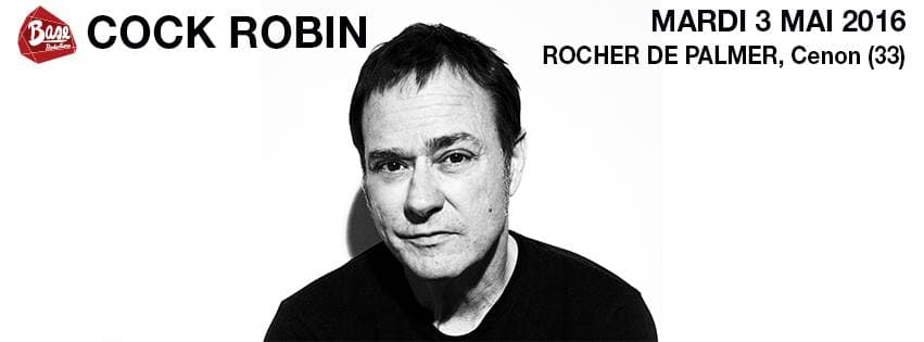 Cock Robin