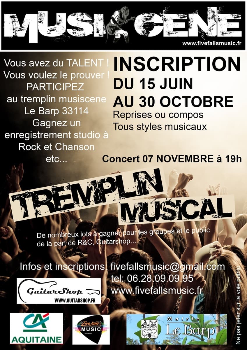 Concours Musical Val de LEyre 2015